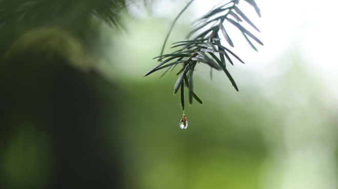 αυξημένο-κατά-6-το-φετινό-κόστος-των-φυσ-563583403