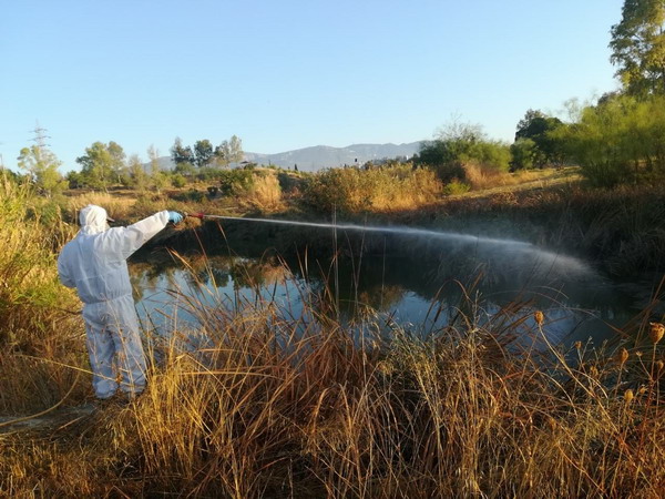 Η μάχη με τα κουνούπια στην Ανατολική Αττική-1