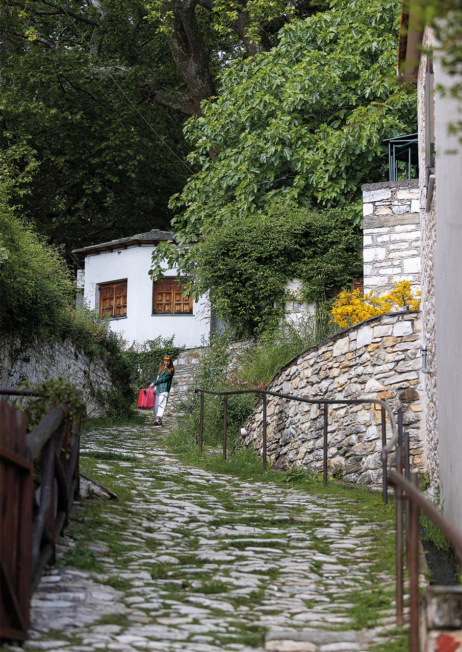 Στο Κεντρικό Πήλιο, για αξέχαστες βόλτες στη φύση και σπετζοφάι-4