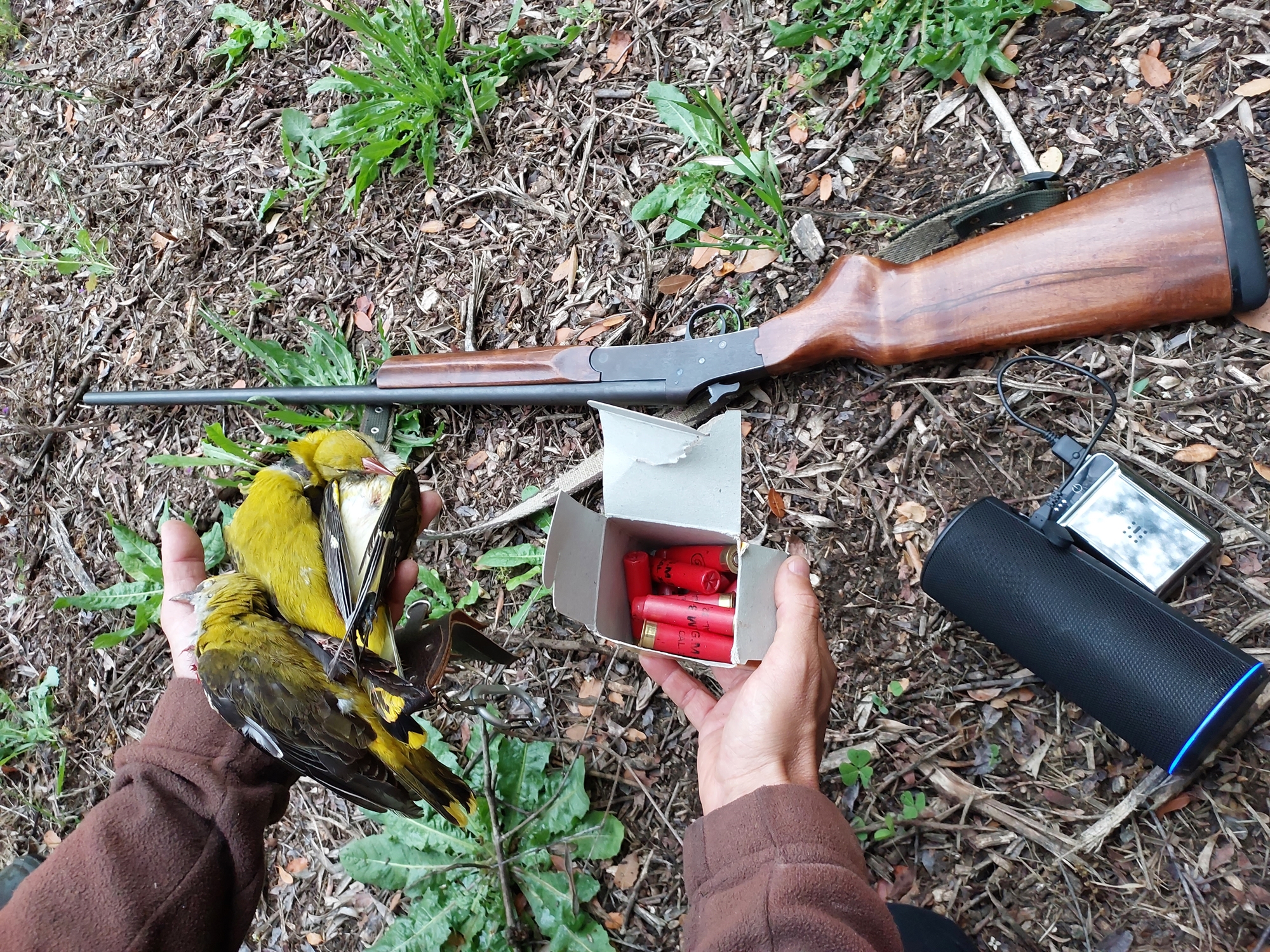 Η εαρινή σύναξη των λαθροθηρών-4