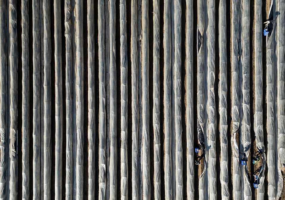 Μια θέση στην άυλη πολιτιστική κληρονομιά-3