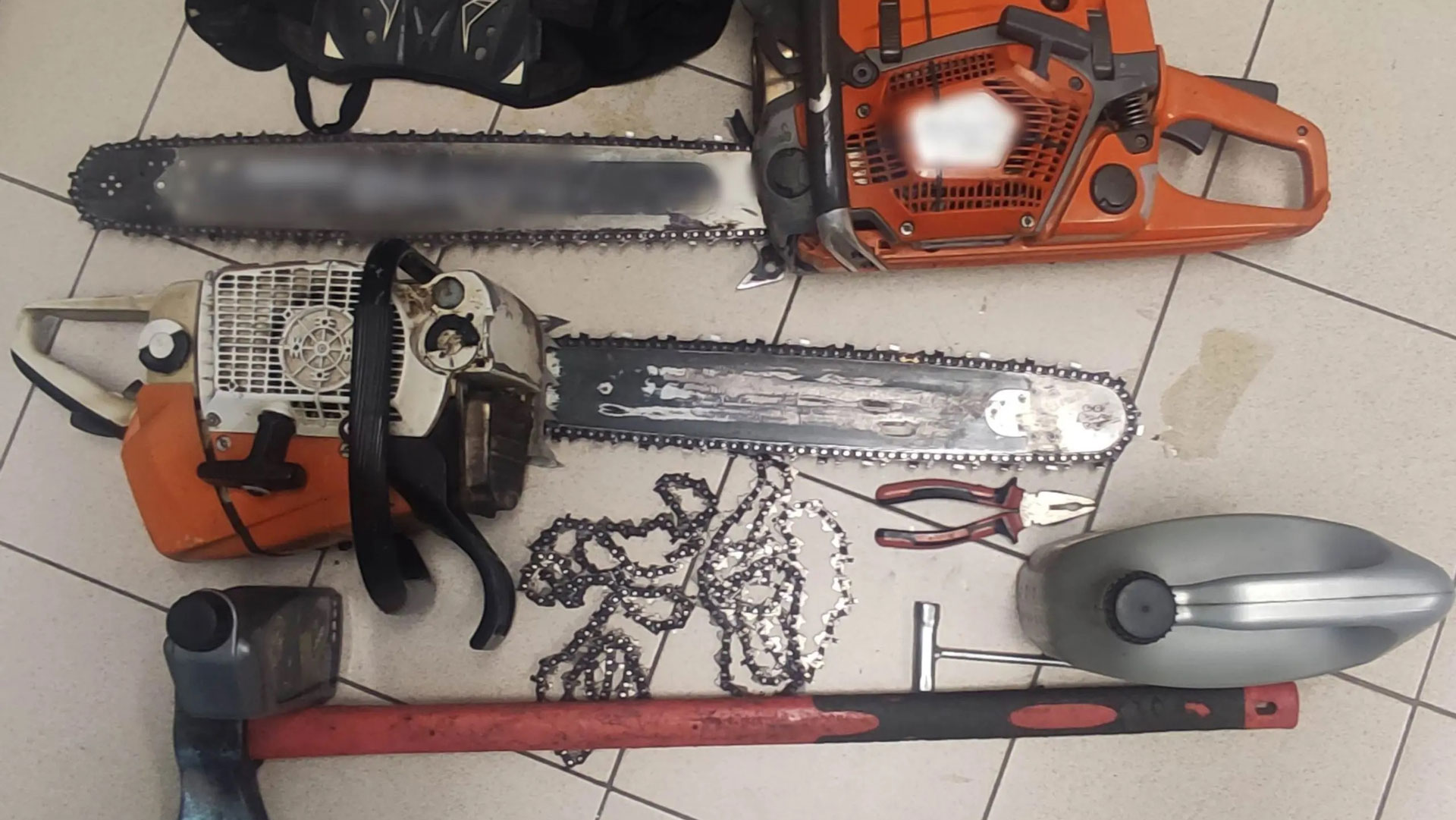 Θεσσαλονίκη: Στη φυλακή 35χρονος για παράνομη υλοτομία-2