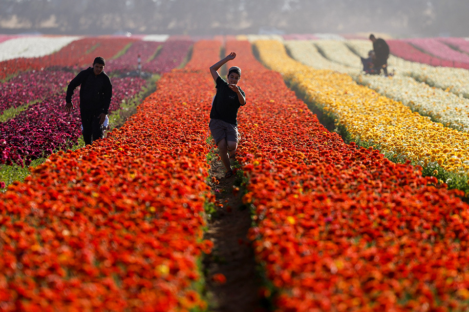 H Pupy έφυγε για το ταξίδι της-2