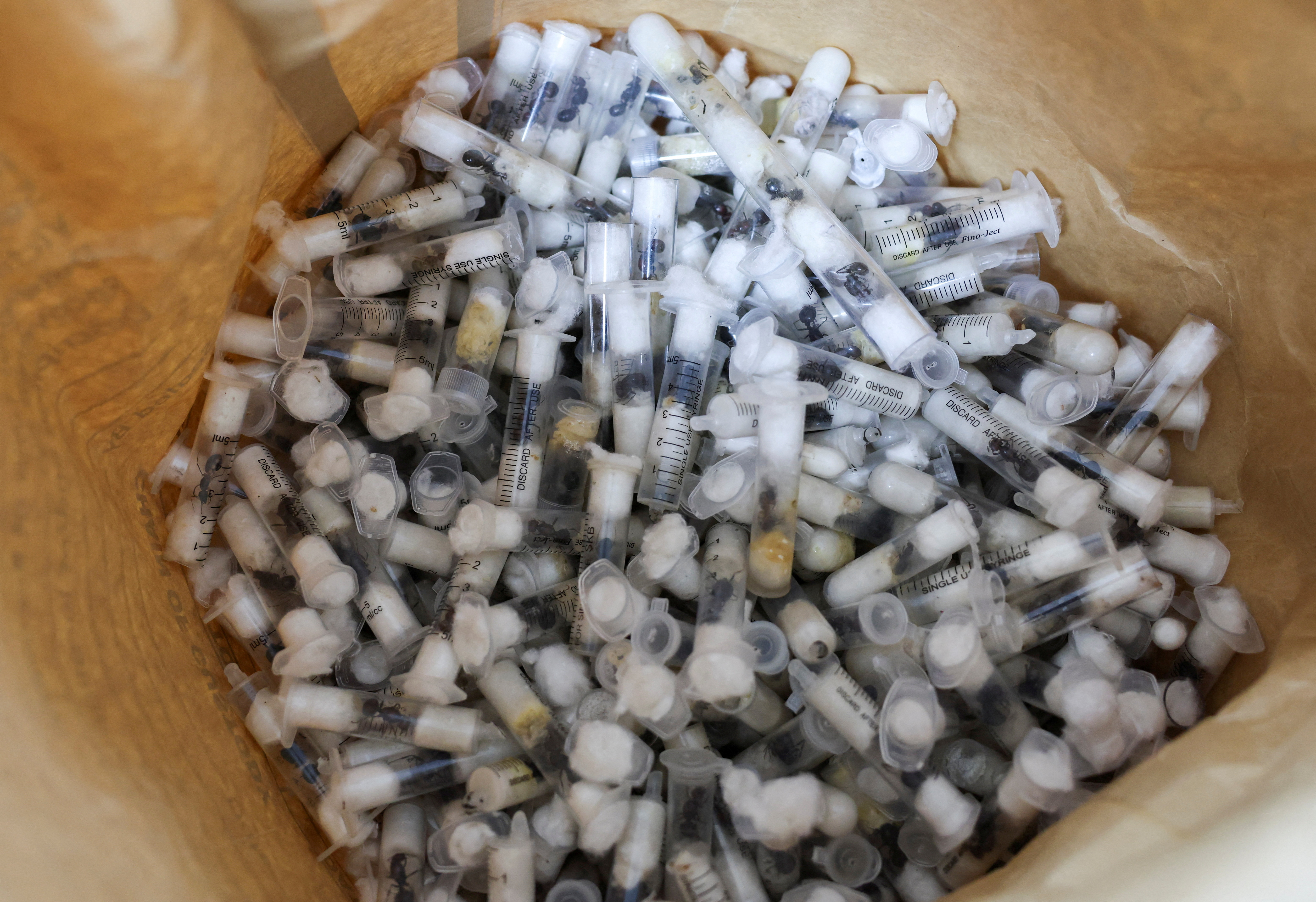 Λίγα μυρμήγκια, αν θέλεις, στείλε μου…-3