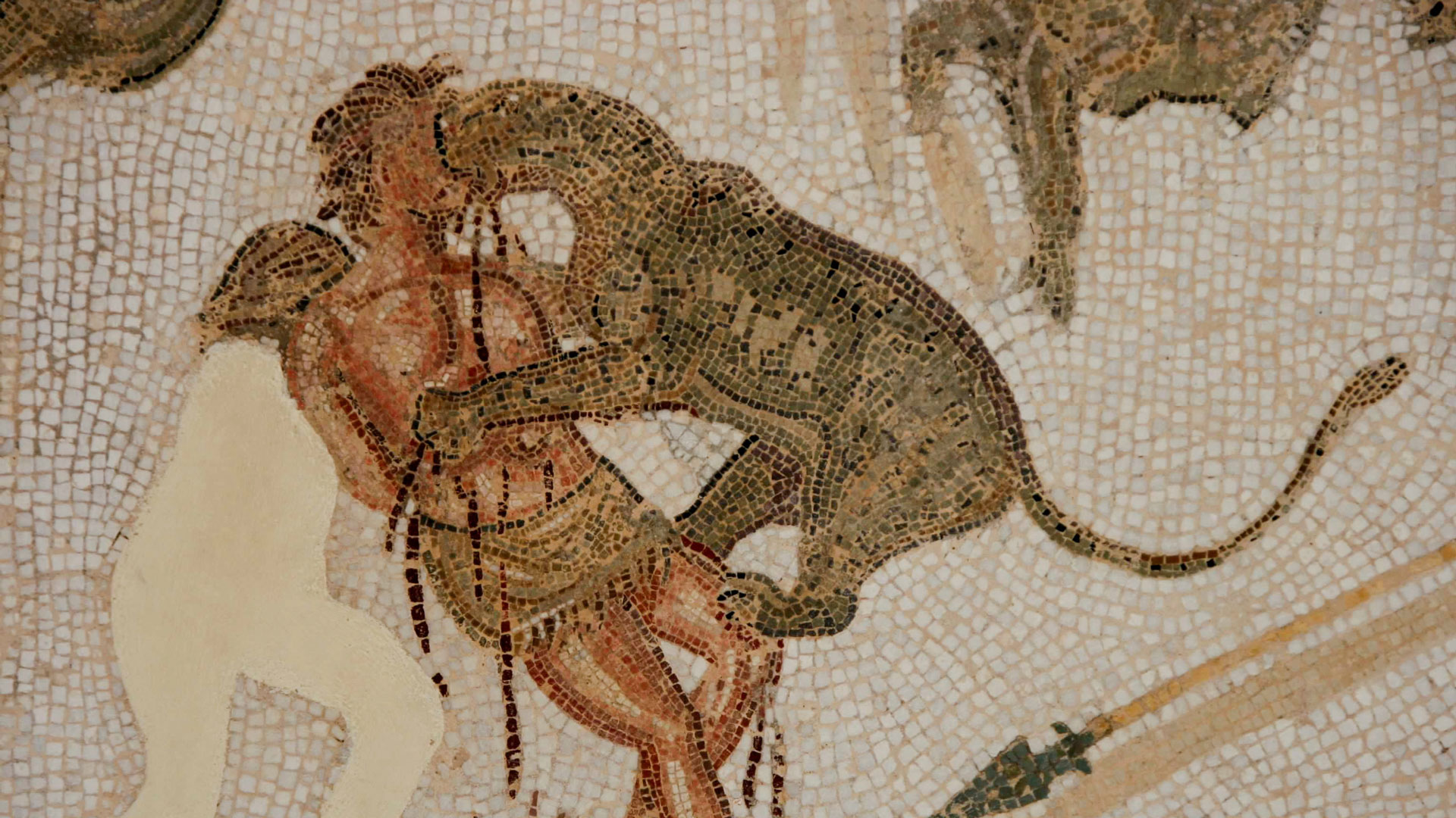 Τι αποκάλυψαν δαγκωματιές λιονταριού για τους μονομάχους της ρωμαϊκής εποχής-1