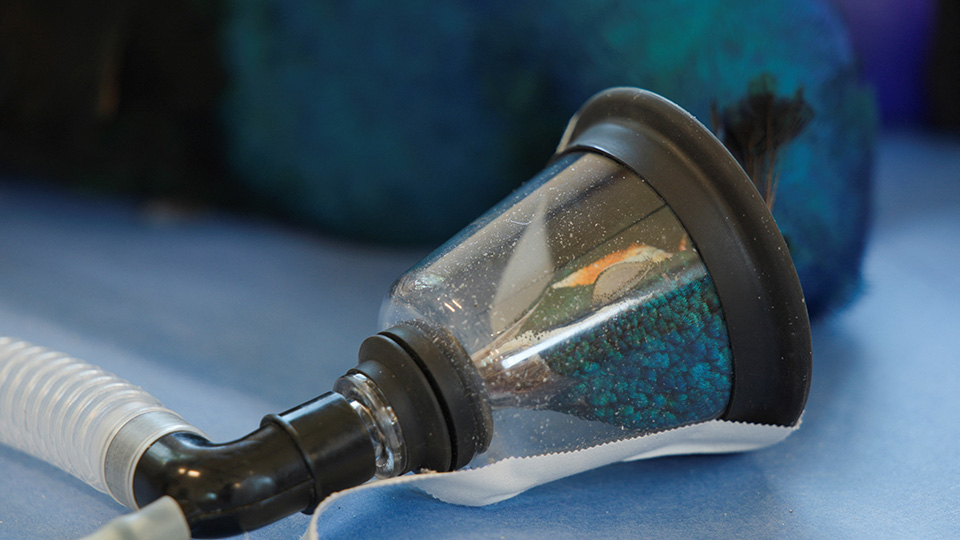 Το τείχος του Λένον-1