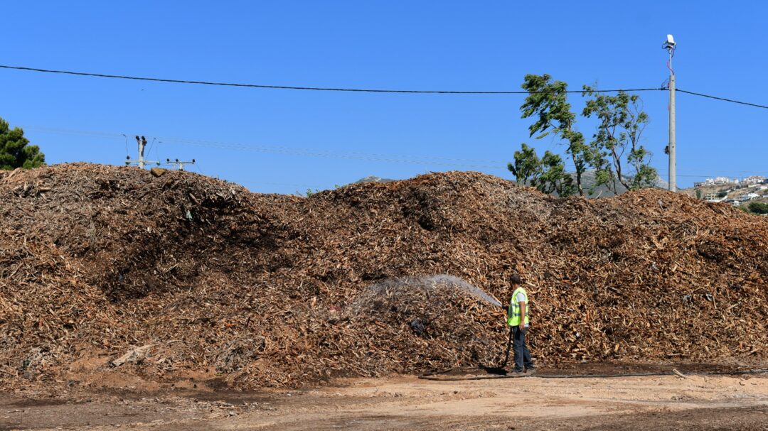 τα-αγκάθια-στον-καθαρισμό-των-οικοπ-563554255