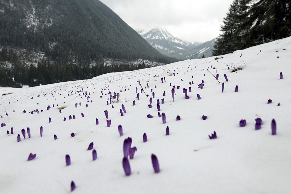 Μια θέση στην άυλη πολιτιστική κληρονομιά-2
