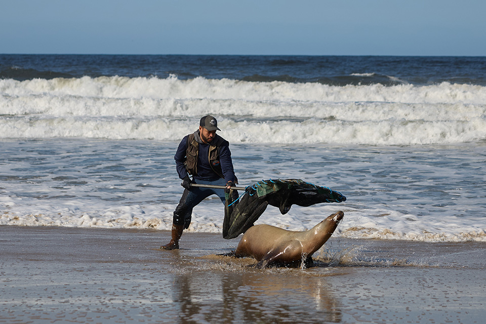 Διαδήλωση- τελετουργικό-2
