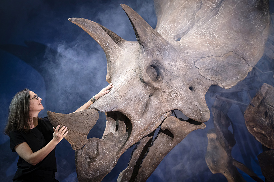 Ωδή στα όμορφα πράγματα-3