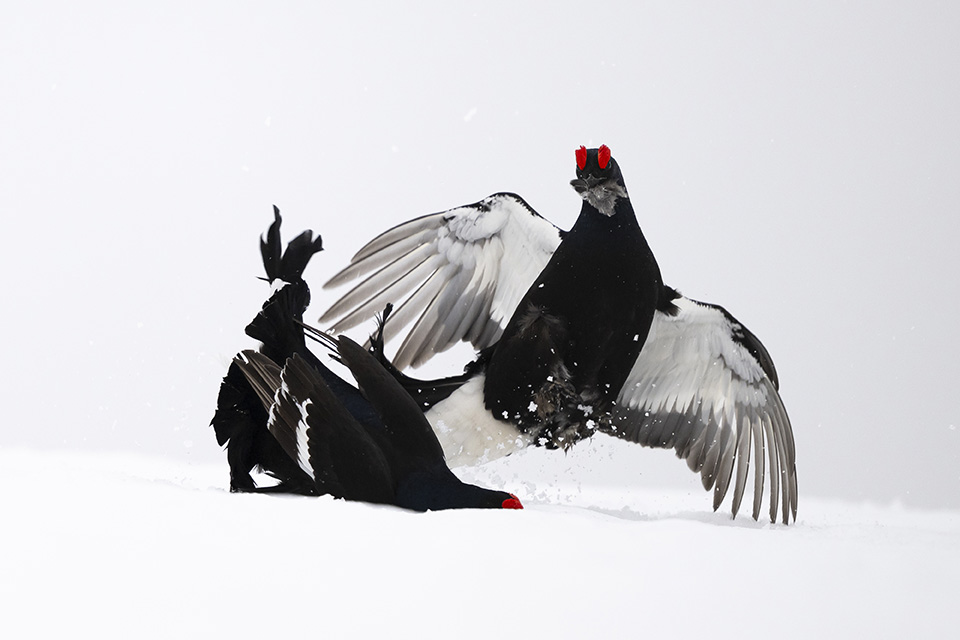 Το τείχος του Λένον-2