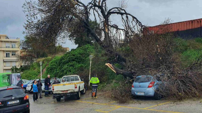 ρόδος-ανεμοστρόβιλος-προκάλεσε-ζημι-563542864