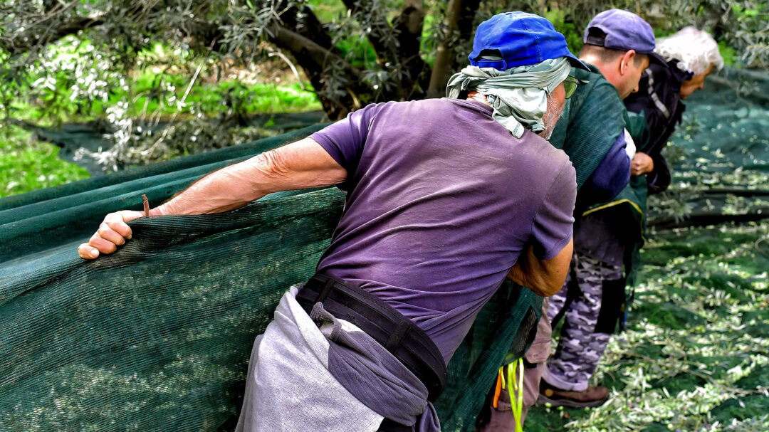 αυτή-τη-στιγμή-όλα-είναι-στον-αέρα-563547091