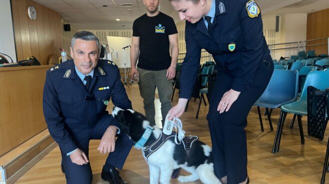 στο-πεδίο-με-την-πρώτη-αστυνομία-ζώων-563544643