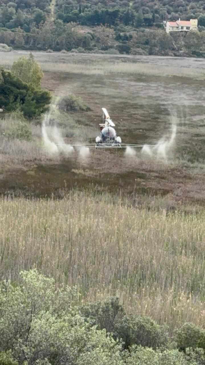 Η μάχη με τα κουνούπια στην Ανατολική Αττική-3