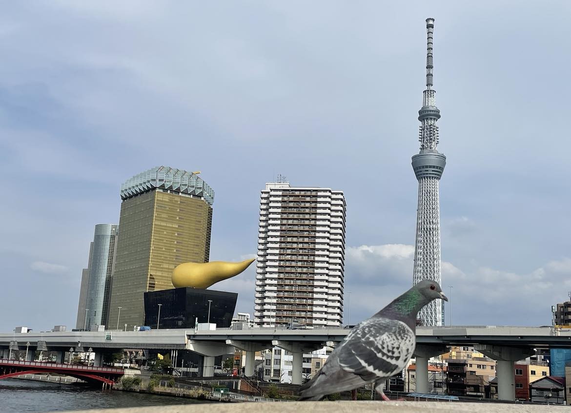 Η Ιαπωνία κάθε φορά σε ξαφνιάζει-5