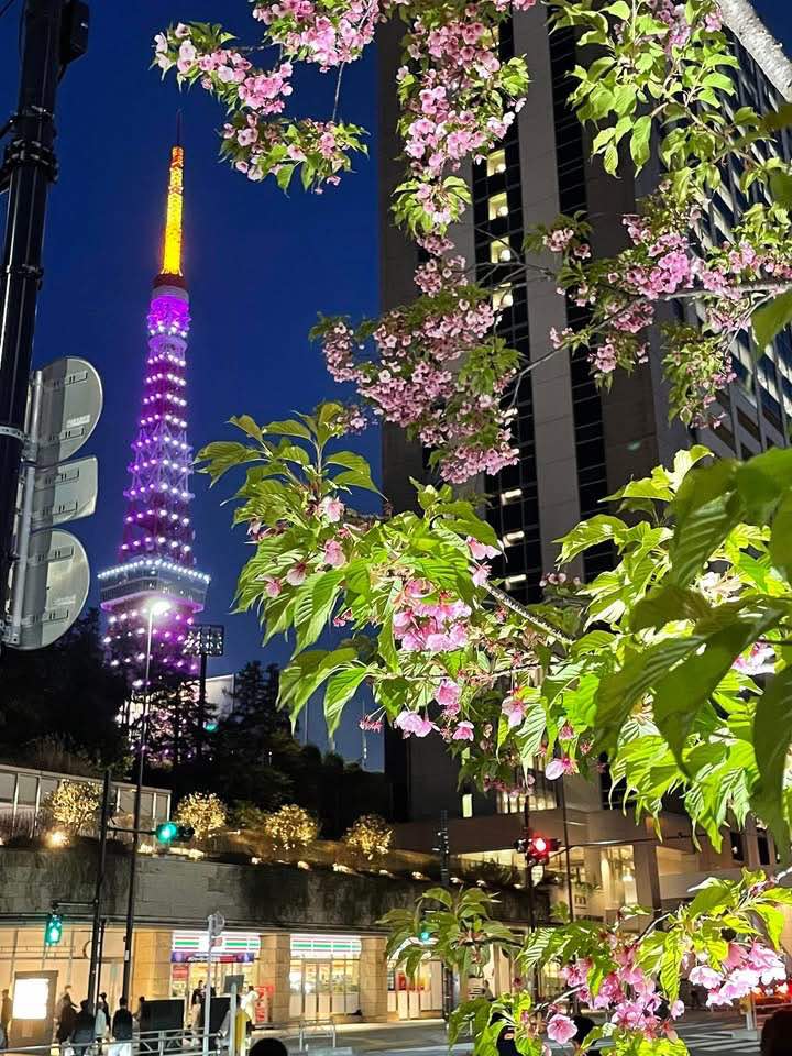 Η Ιαπωνία κάθε φορά σε ξαφνιάζει-1