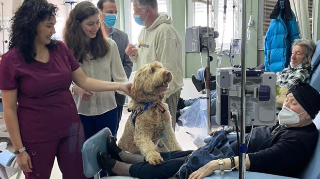 τετράποδοι-βοηθοί-για-καρκινοπαθείς-563565166