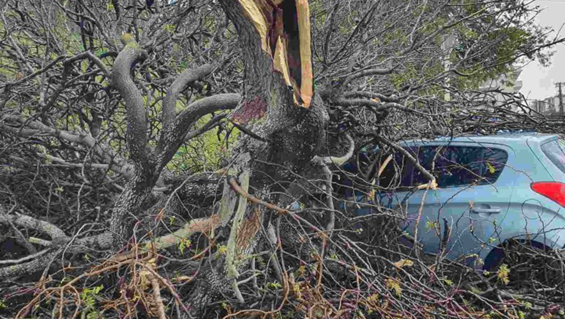 Ρόδος: Ανεμοστρόβιλος προκάλεσε ζημιές σε κτίρια και οχήματα-1