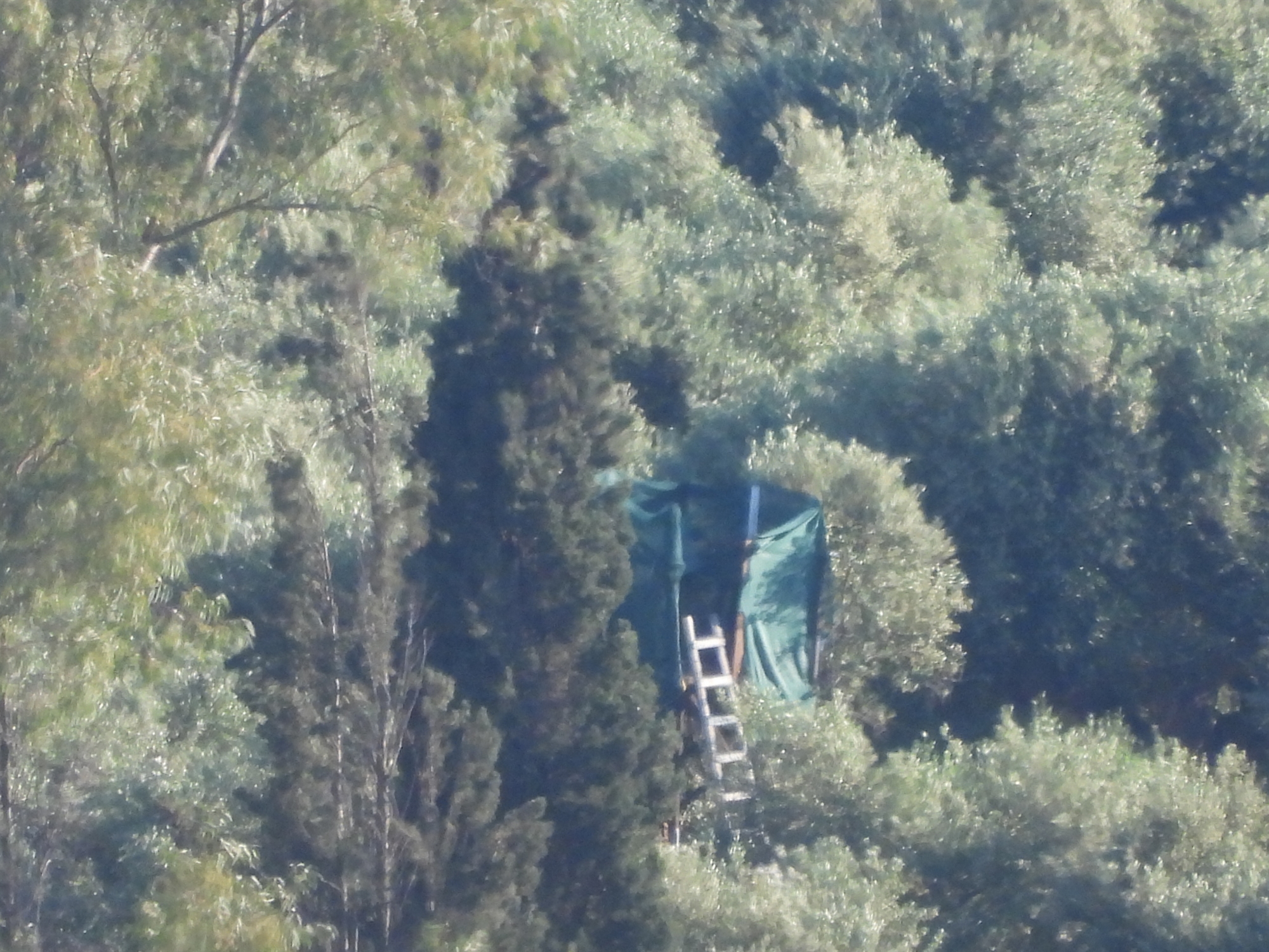 Η εαρινή σύναξη των λαθροθηρών-1