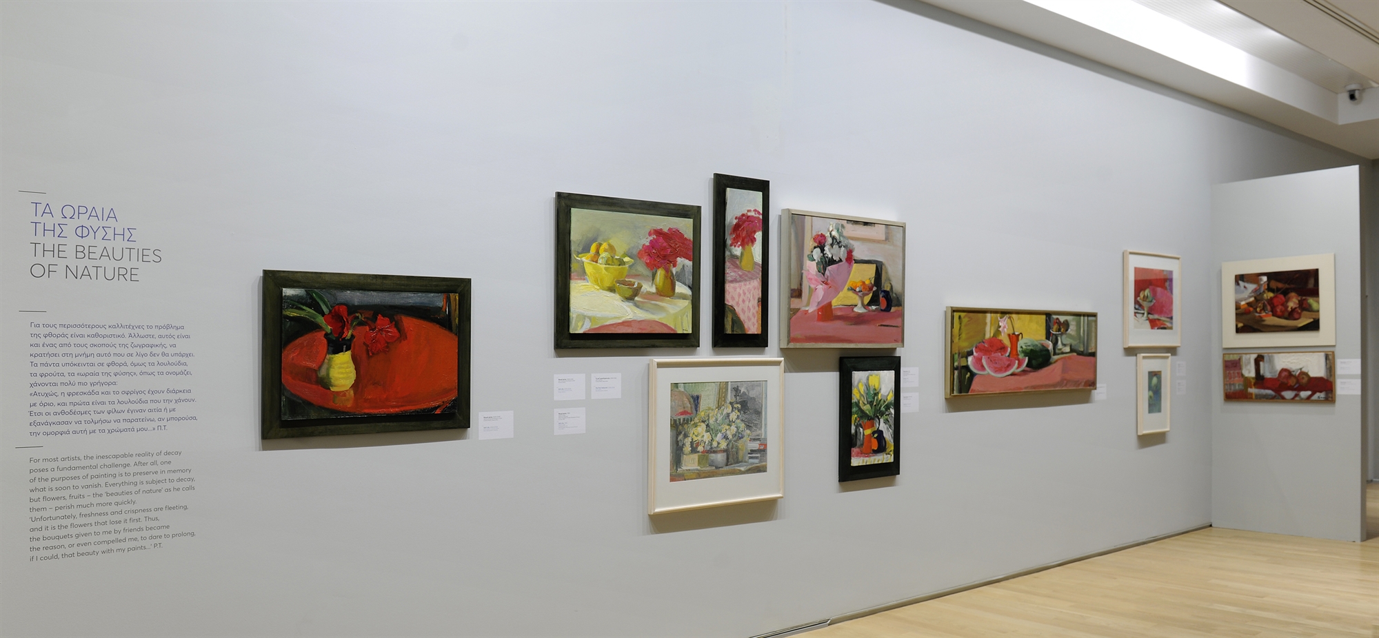 Παναγιώτης Τέτσης: Το βλέμμα του πάντα στα χρώματα της Υδρας-1