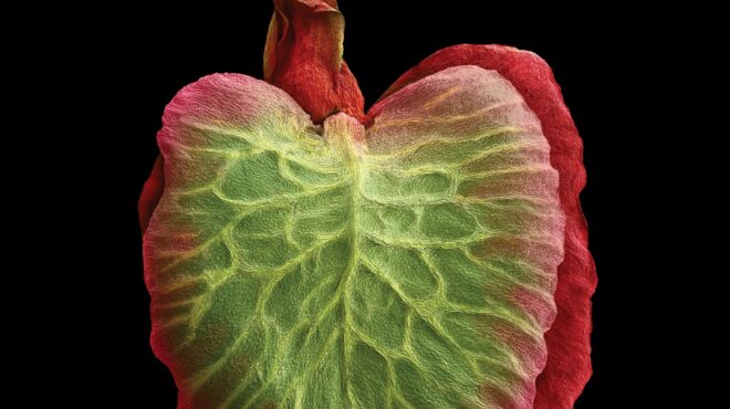 ο-ολυμπος-κι-ο-σίσυφος-563571814