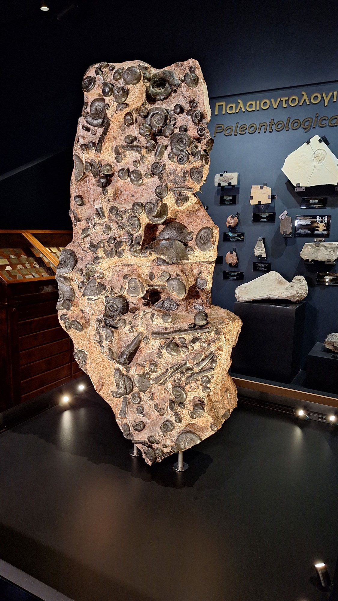 Εθνικό Γεωλογικό Μουσείο: Ματιές στο πλούσιο υπέδαφος-1