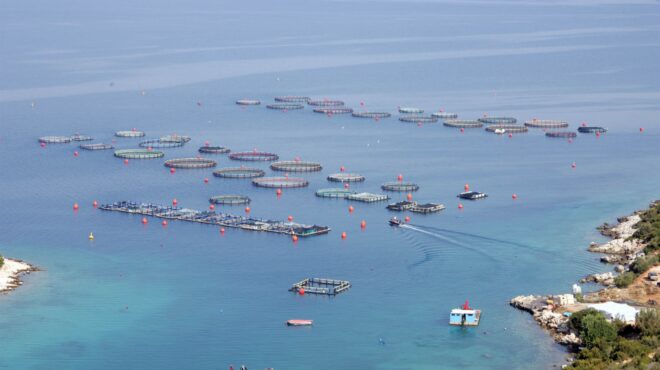 γιατί-καθυστερεί-η-μεταβίβαση-της-avramar-στ-563558581