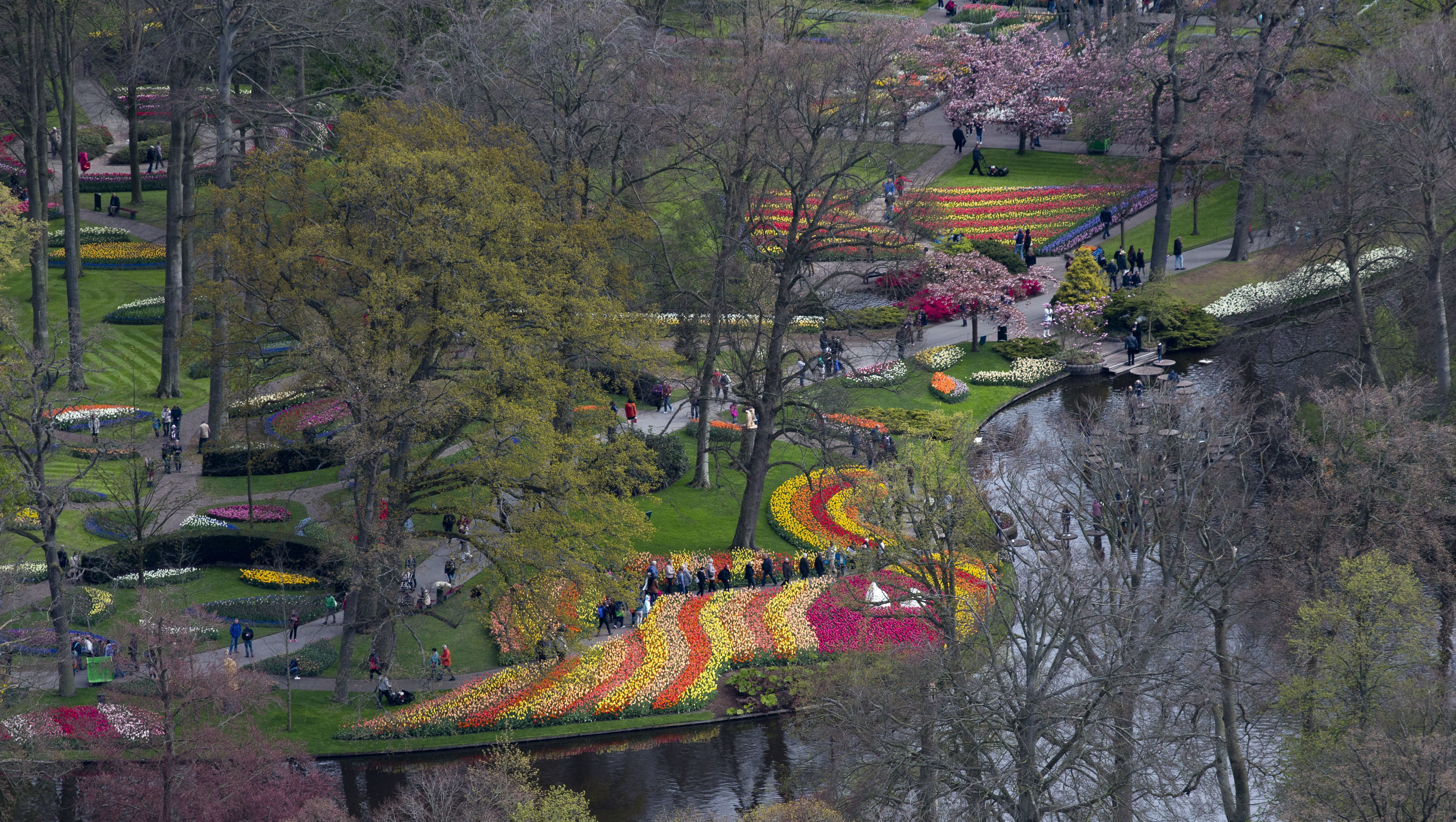 Ακόμα και οι διάσημοι κήποι του Keukenhof προσαρμόστηκαν στην ψηφιακή εποχή-3