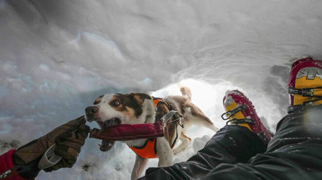 η-εκπαίδευση-563553352