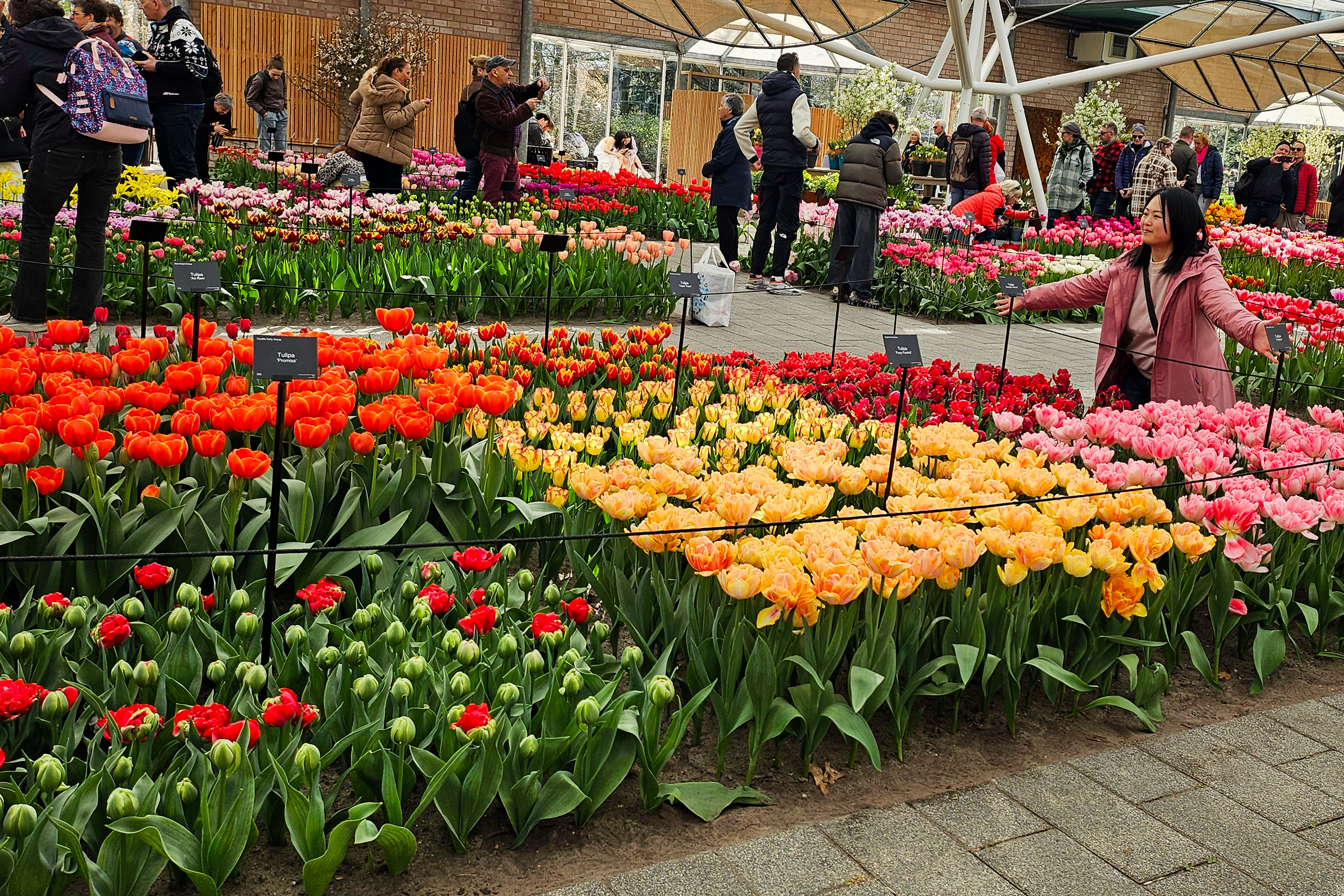 Ακόμα και οι διάσημοι κήποι του Keukenhof προσαρμόστηκαν στην ψηφιακή εποχή-1