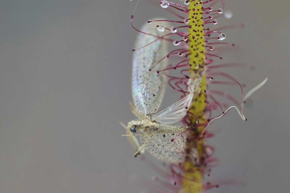 Η εκπαίδευση-2