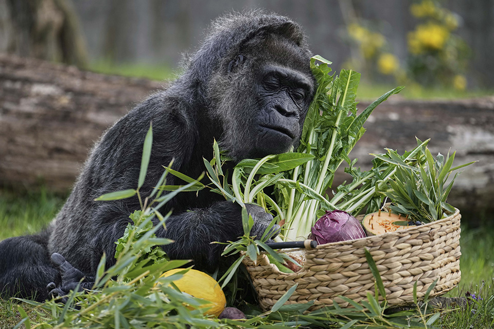 Σπάσιμο χωρίς πρόστιμο-3