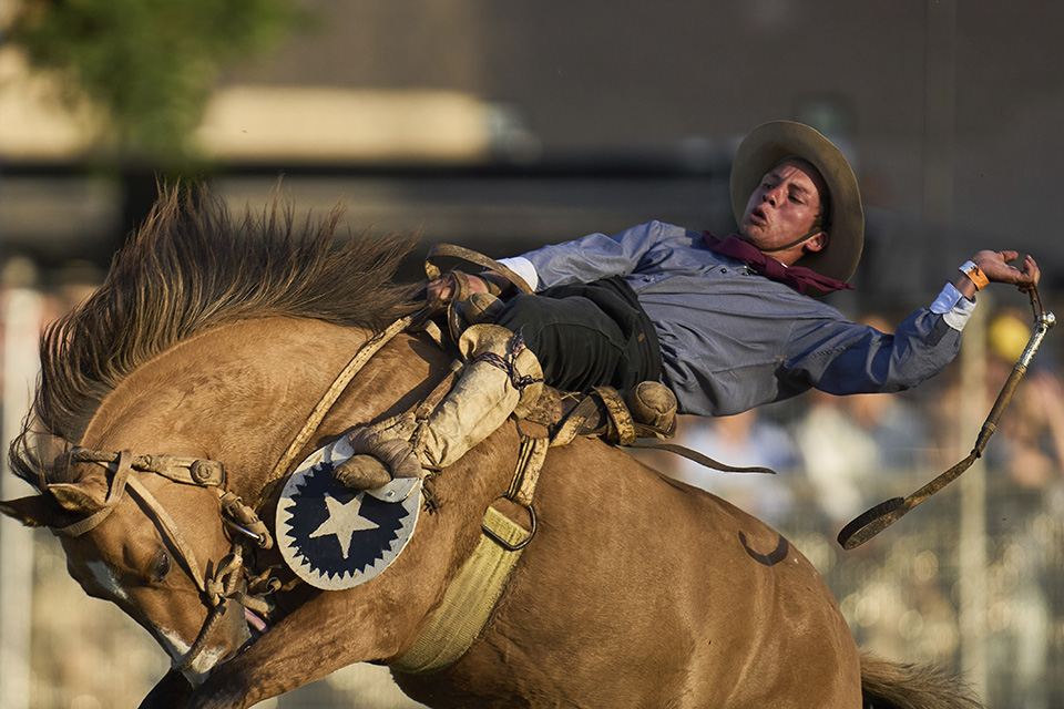 H Pupy έφυγε για το ταξίδι της-3