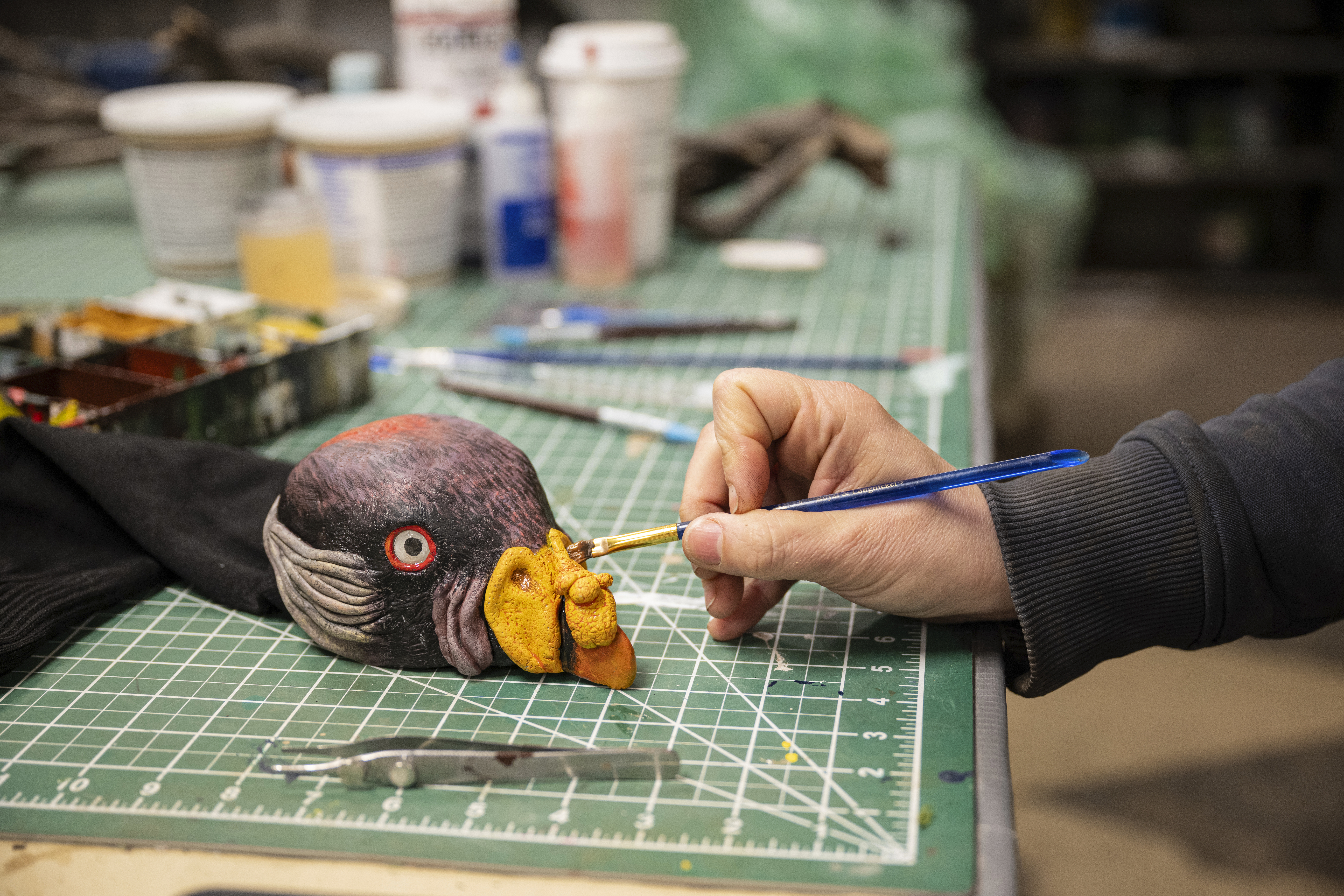 Γιατί οι φροντιστές ζωολογικού κήπου ταΐζουν νεοσσό γύπα με μαριονέτα χεριού-2