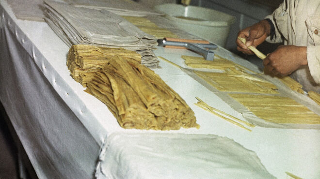 υπόθεση-φοροδιαφυγής-σε-πάπυρο-1-900-ετών-563565070