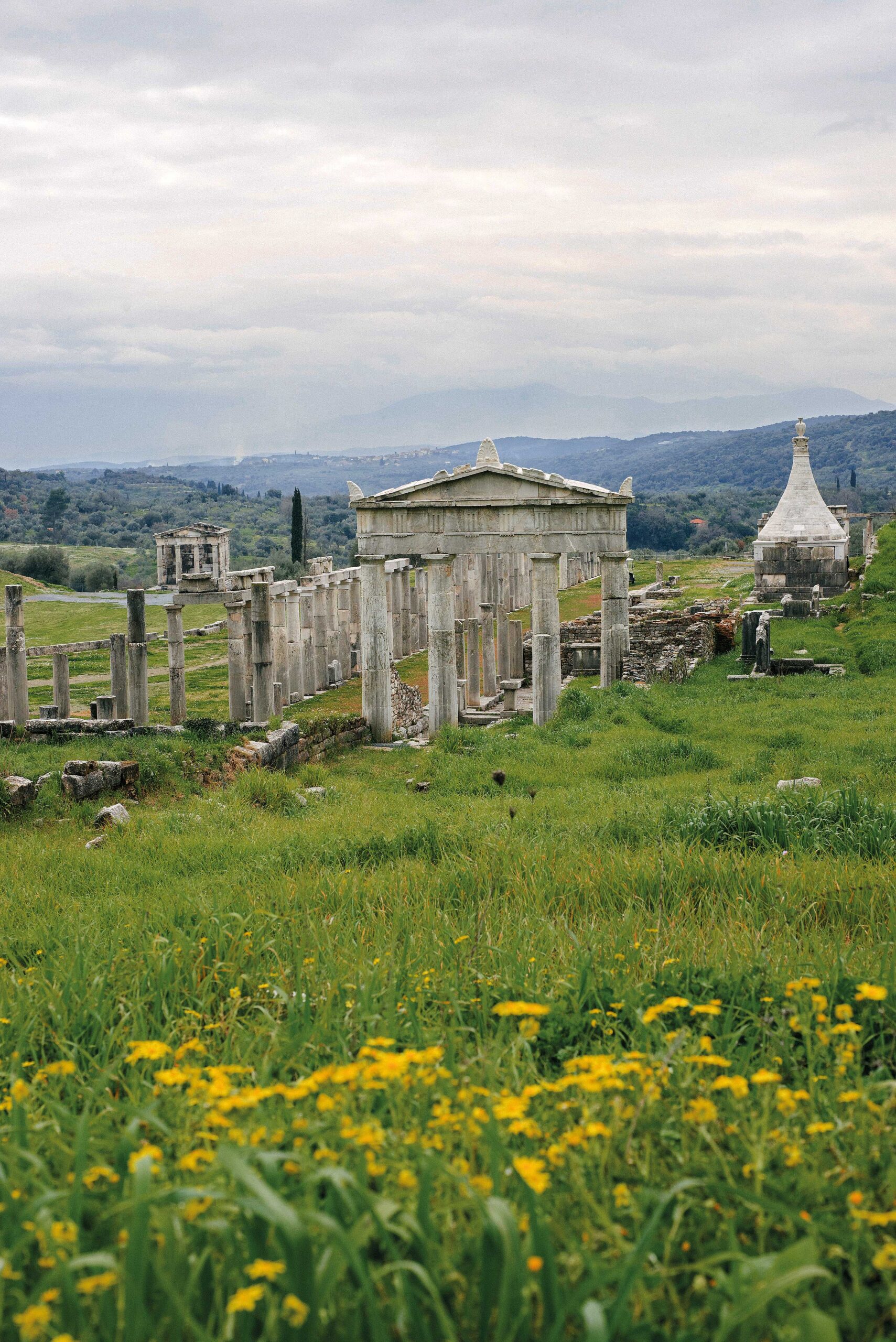γιατί-τώρα-είναι-η-καλύτερη-εποχή-για-ν-563546641