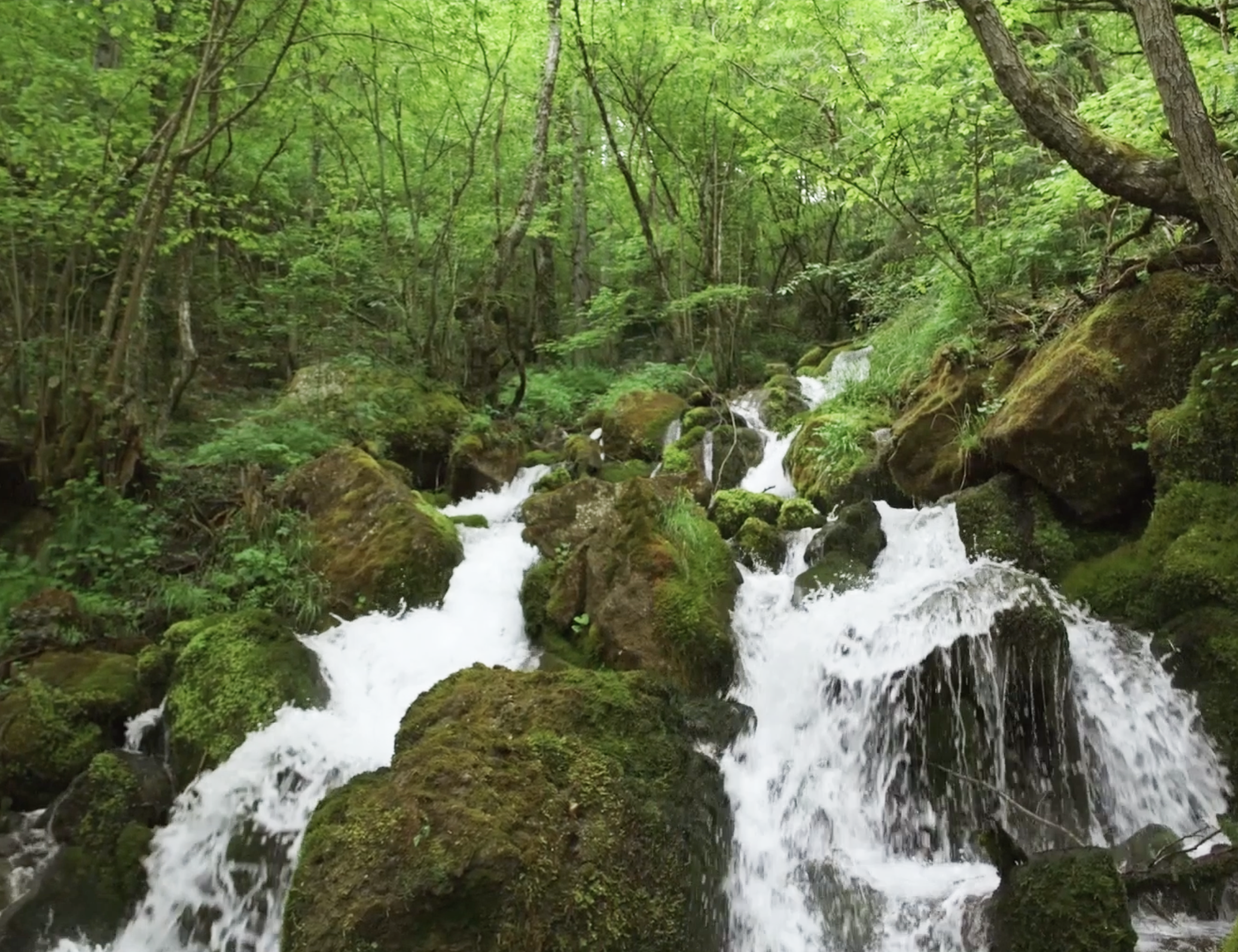 Το Φυσικό Μεταλλικό Νερό ΑρρένΑ εξασφαλίζει ένα υγιές μέλλον για τον άνθρωπο και το περιβάλλον-1