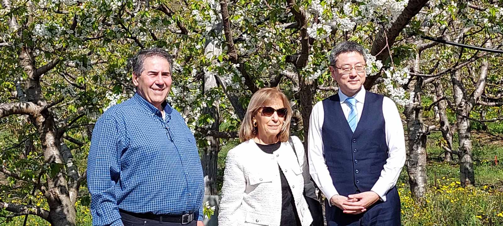 Τακαάκι Νεμότο στην «Κ»: «Οταν είδα τις ανθισμένες κερασιές της Πέλλας συγκινήθηκα»-2