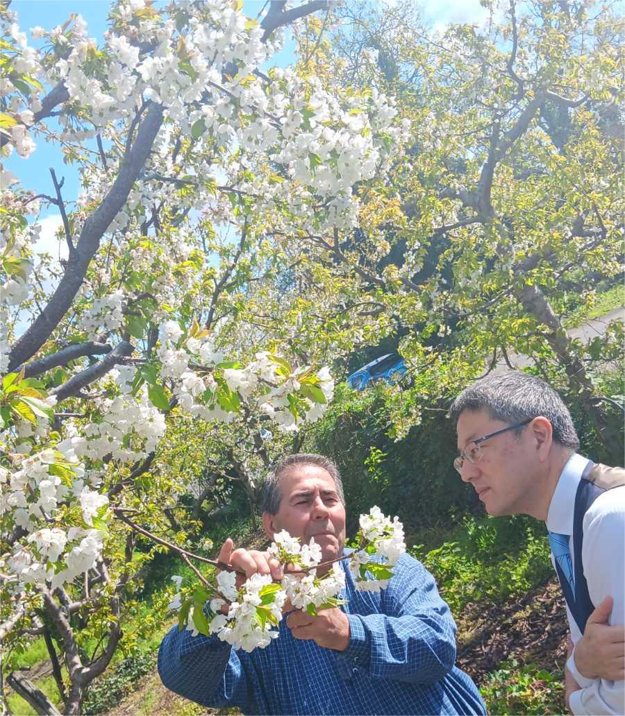 Τακαάκι Νεμότο στην «Κ»: «Οταν είδα τις ανθισμένες κερασιές της Πέλλας συγκινήθηκα»-1
