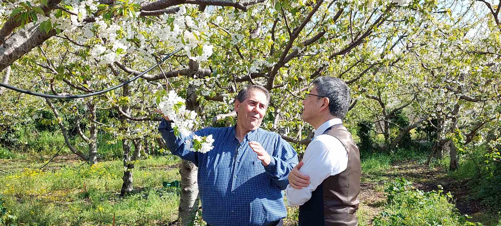 τακαάκι-νεμότο-στην-κ-οταν-είδα-τις-563555101