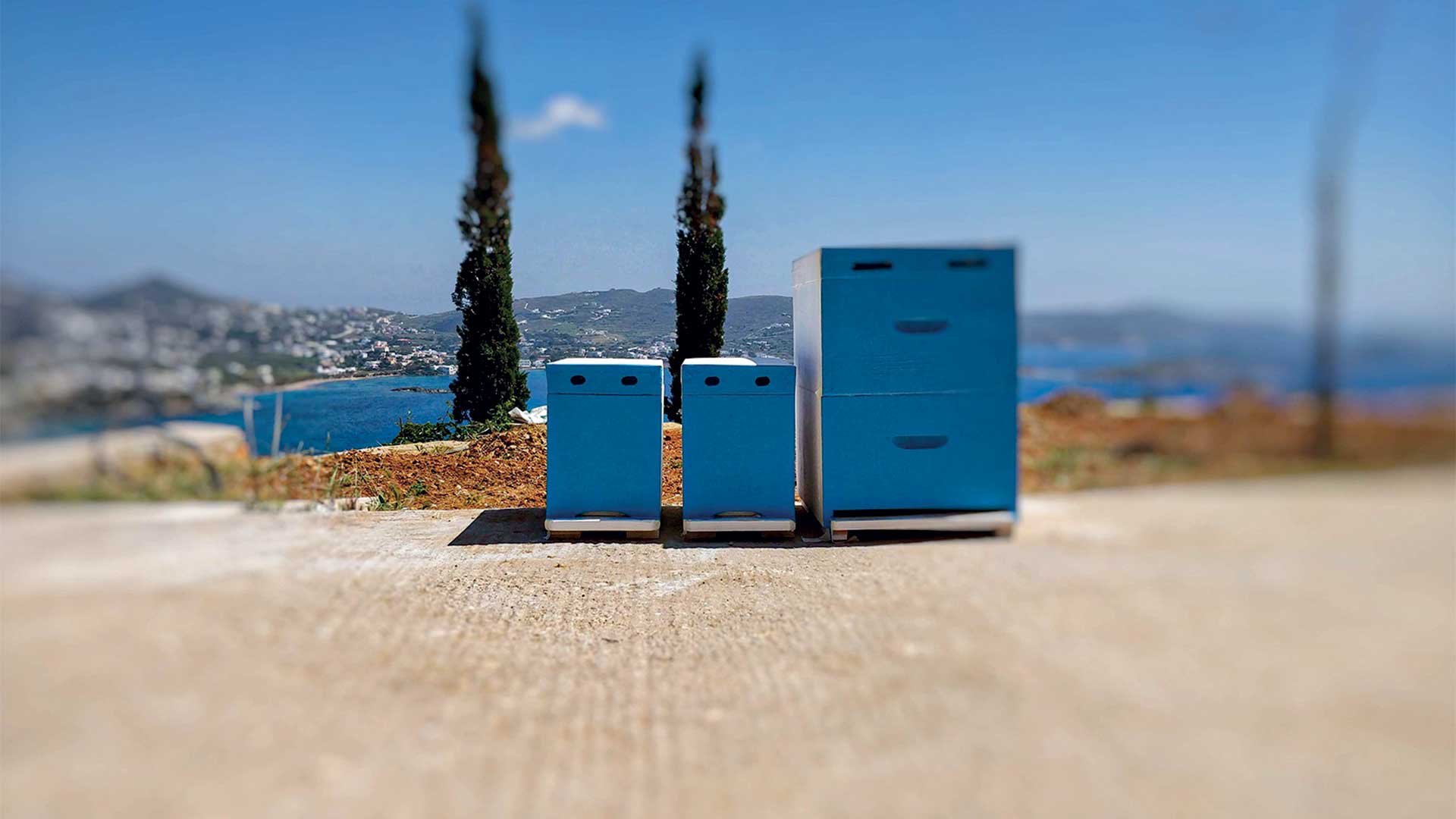 Σύρος: Σχεδιάζοντας το αύριο στο Πανεπιστήμιο Αιγαίου-16