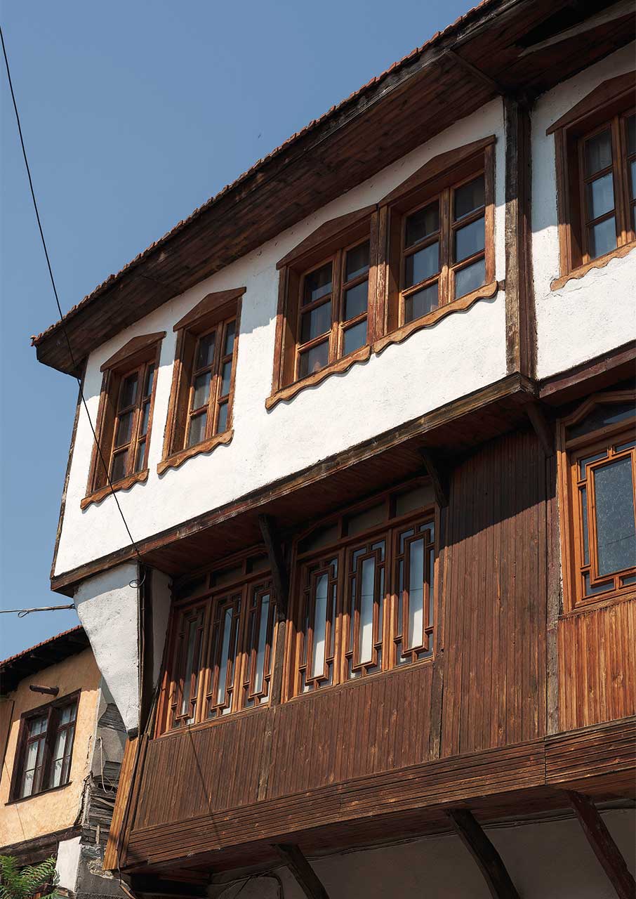 Στη λίμνη Κερκίνη, για βόλτες με ποδήλατο και βουβάλι κοκκινιστό-1