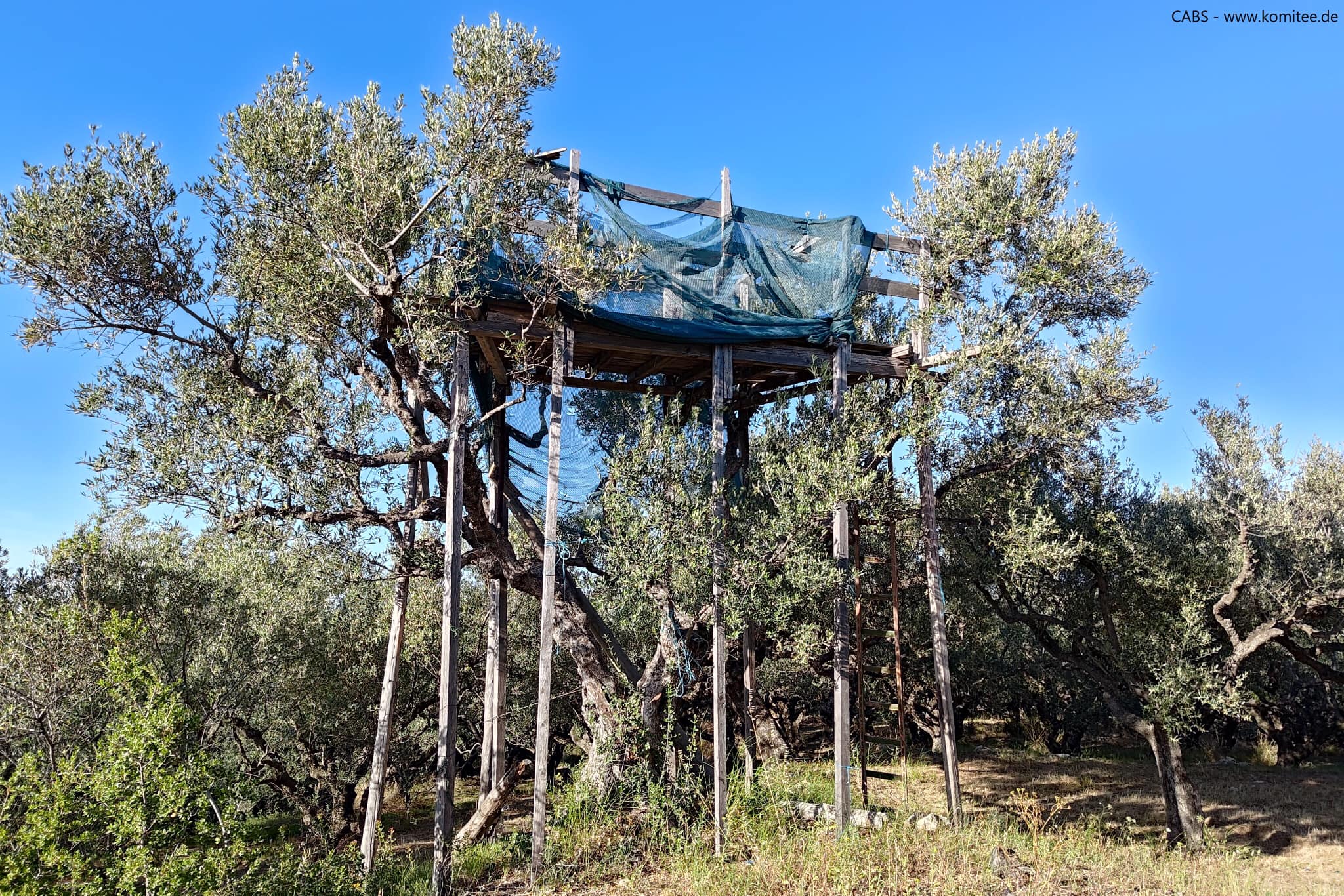 Η εαρινή σύναξη των λαθροθηρών-5