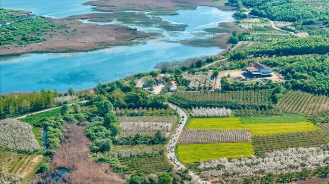 ιάπωνας-διπλωμάτης-από-το-χανάμι-το-563542339