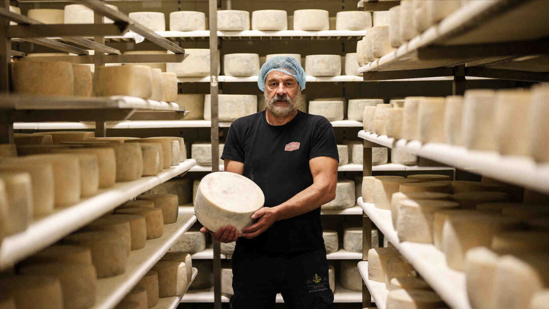 τυροκομείο-πιτταράς-τα-τυριά-της-νάξο-563583925