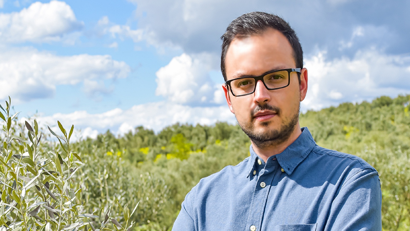 Συμπλήρωμα διατροφής, από ελληνικές επιτραπέζιες βιολογικές ελιές, κατά της χοληστερίνης-1