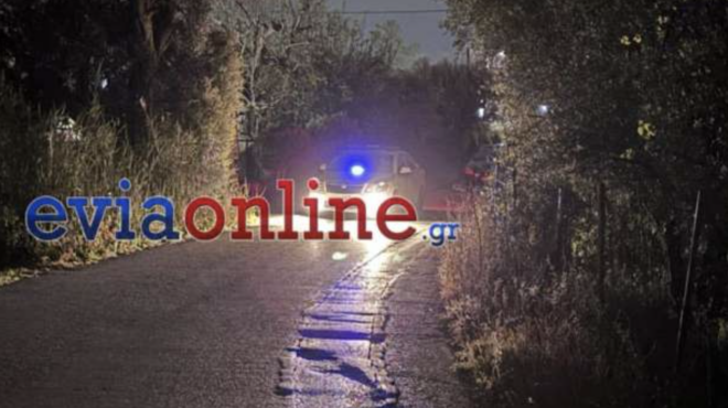 χαλκίδα-75χρονος-σκότωσε-50χρονο-και-αυτ-563554630