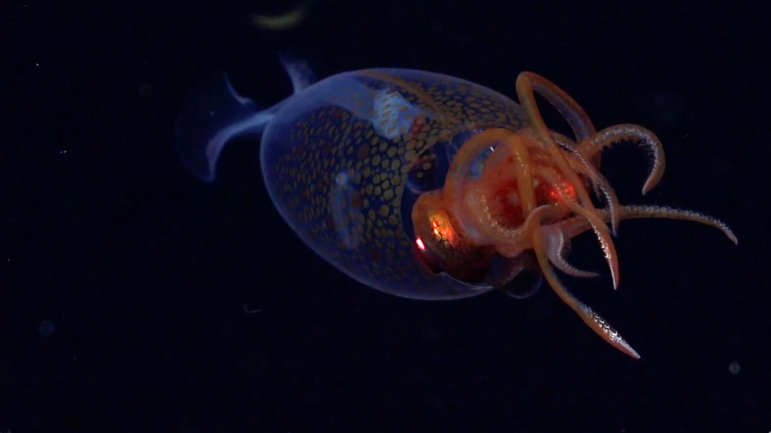 χρειάστηκε-ένας-αιώνας-για-να-καταγρα-563566981