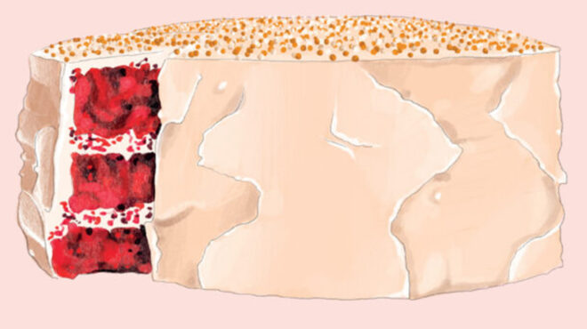 red-velvet-με-κρέμα-τυριού-και-λευκής-σοκολάτα-563552419